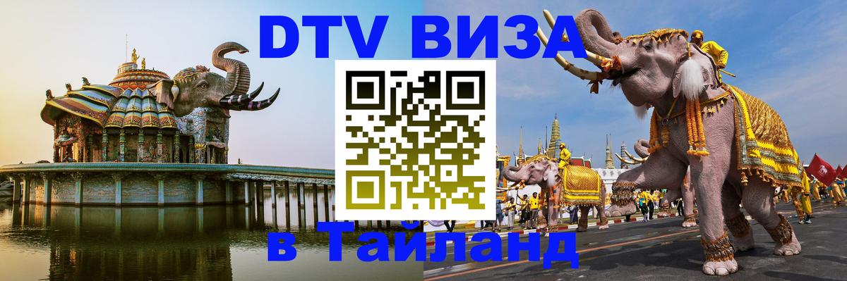 Сколько стоит DTV виза — актуальные цены, оформление даже без документов - 20.11.2025 